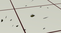 Bees and Flies addon